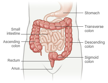 IBS TREATMENT